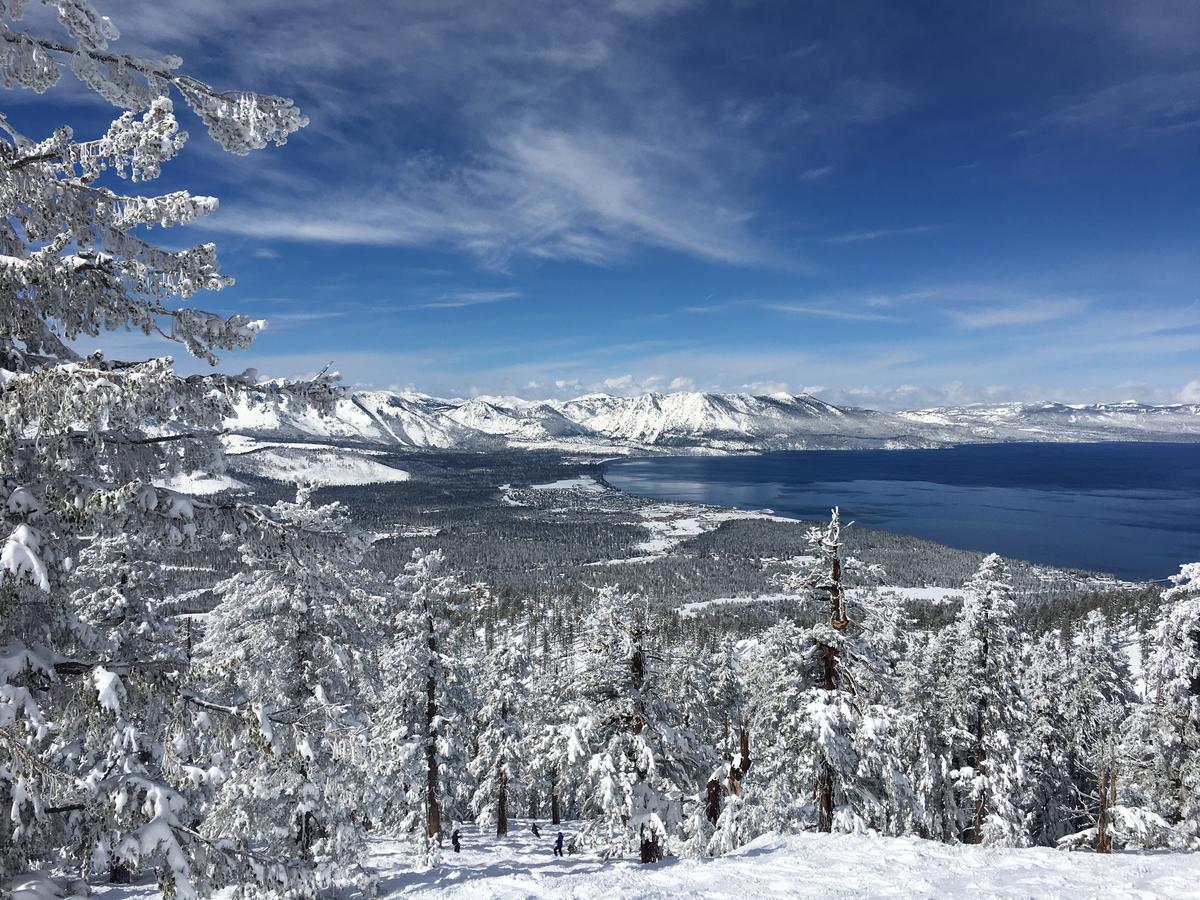 Black Jack Inn South Lake Tahoe Eksteriør bilde